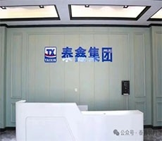 泰鑫--打造具有全球競爭力的企業(yè)！